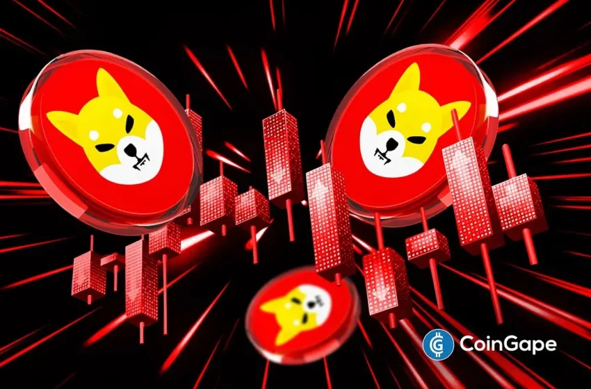  Expert Predicts SHIB Rally as Shiba Inu Restores Shibarium After $4M Hack Shutdown
