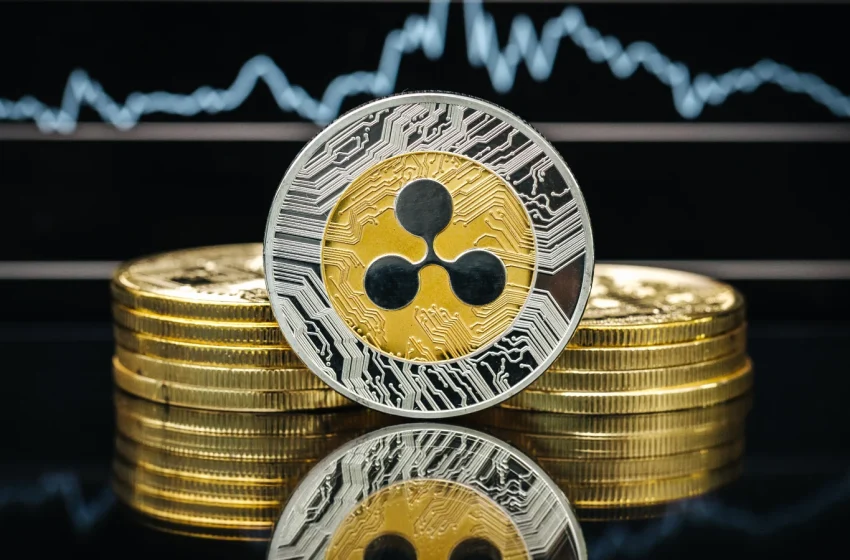  Matthew Sigel Triggers Uproar In XRP Community