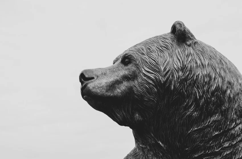  Analyst Shares Worst-Case Scenario Amid Bearish Signs