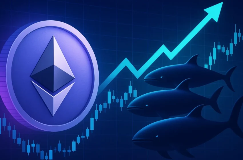  Top Performers Go All-In On Ethereum Long Positions With Over $425M in Exposure