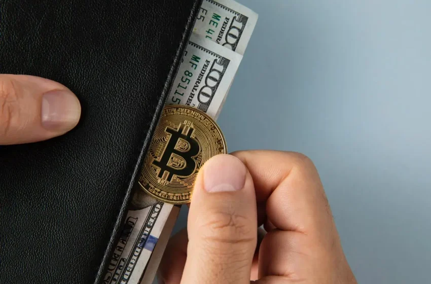  Bitcoin LTH Supply Rises Again Amid Bearish Market Dynamics