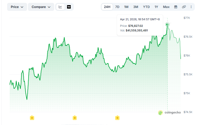  Is Bitcoin Riding the Ceasefire Rally Wave?