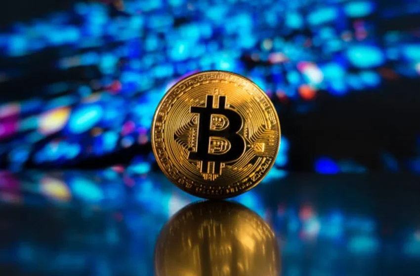  Bitcoin ‘Sharks’ Silently Accumulate Amid Market Uncertainty — Details